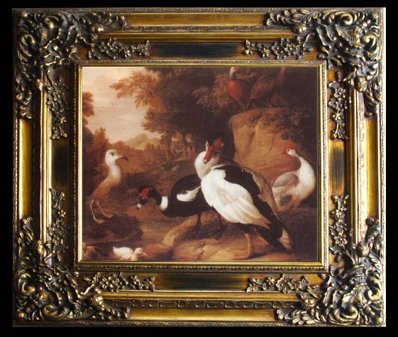 framed  Jakob Bogdani Wild Ducks, Ta014